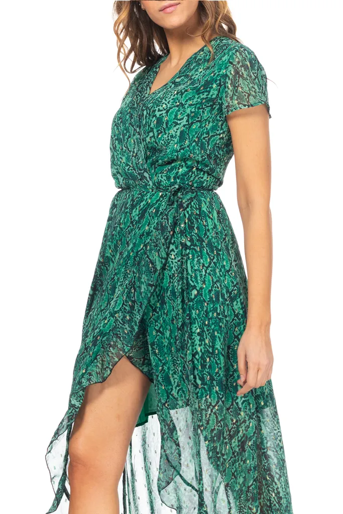 Caily Petrol Printed Cruise Dress with Transparency