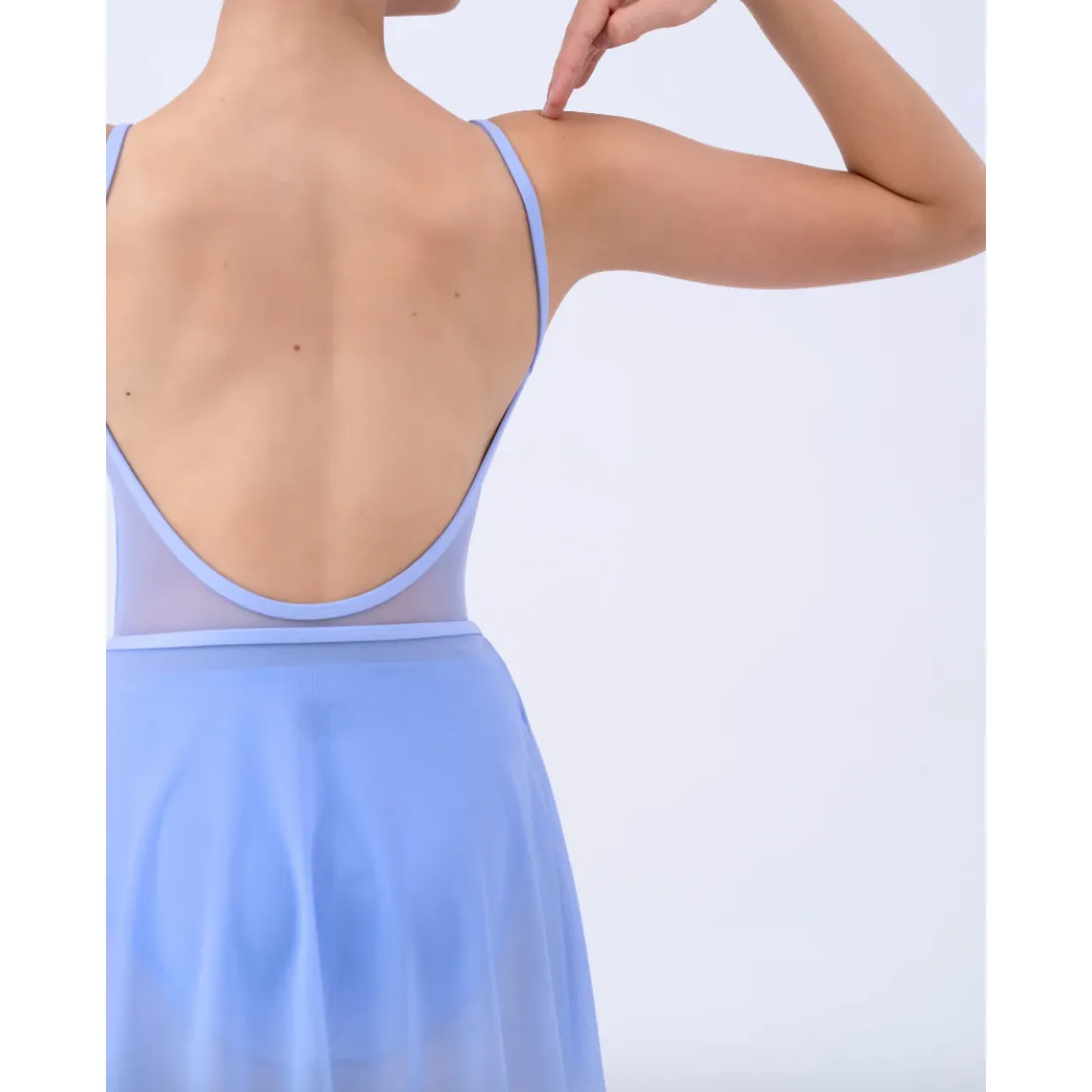 Claudia Dean Alina Mesh Skirt