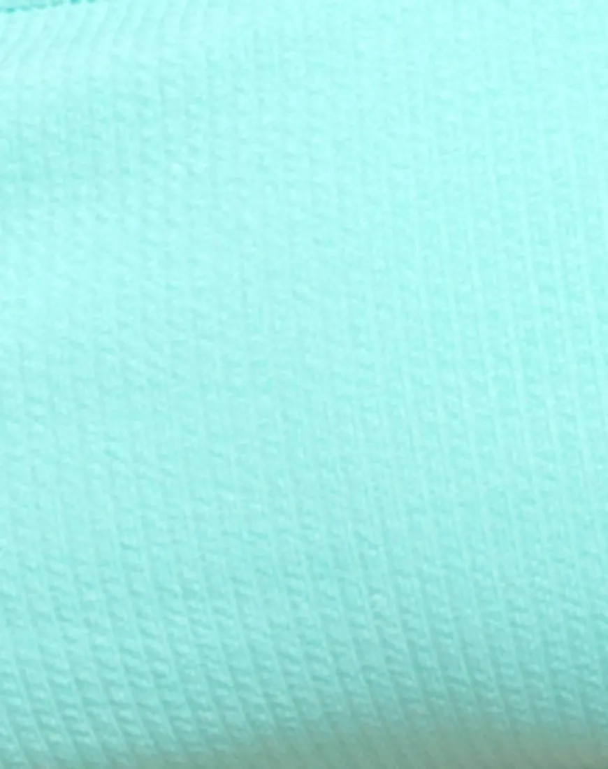 Febe Bikini Top in Mini Rib Mint