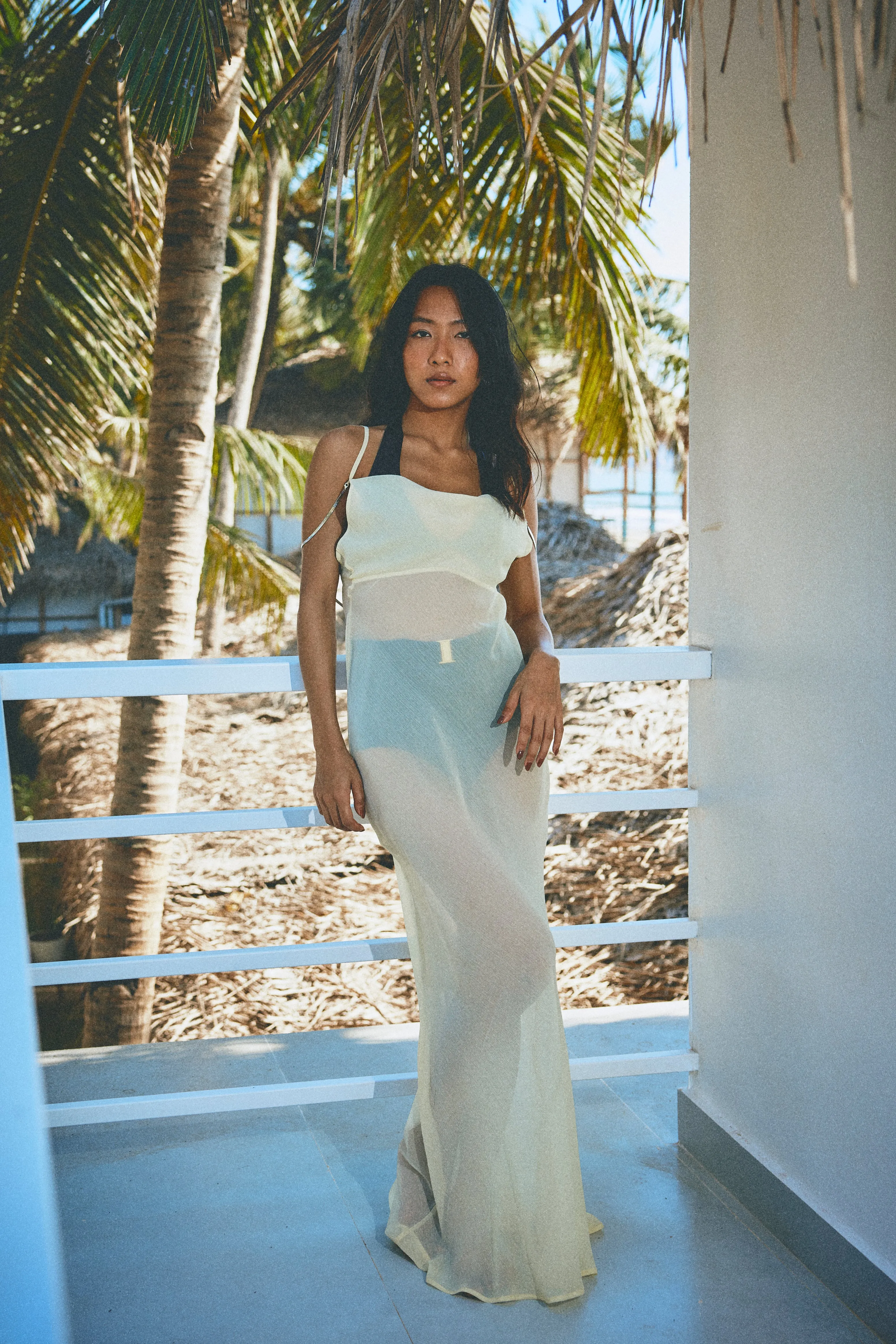Island Dream Sheer Dress