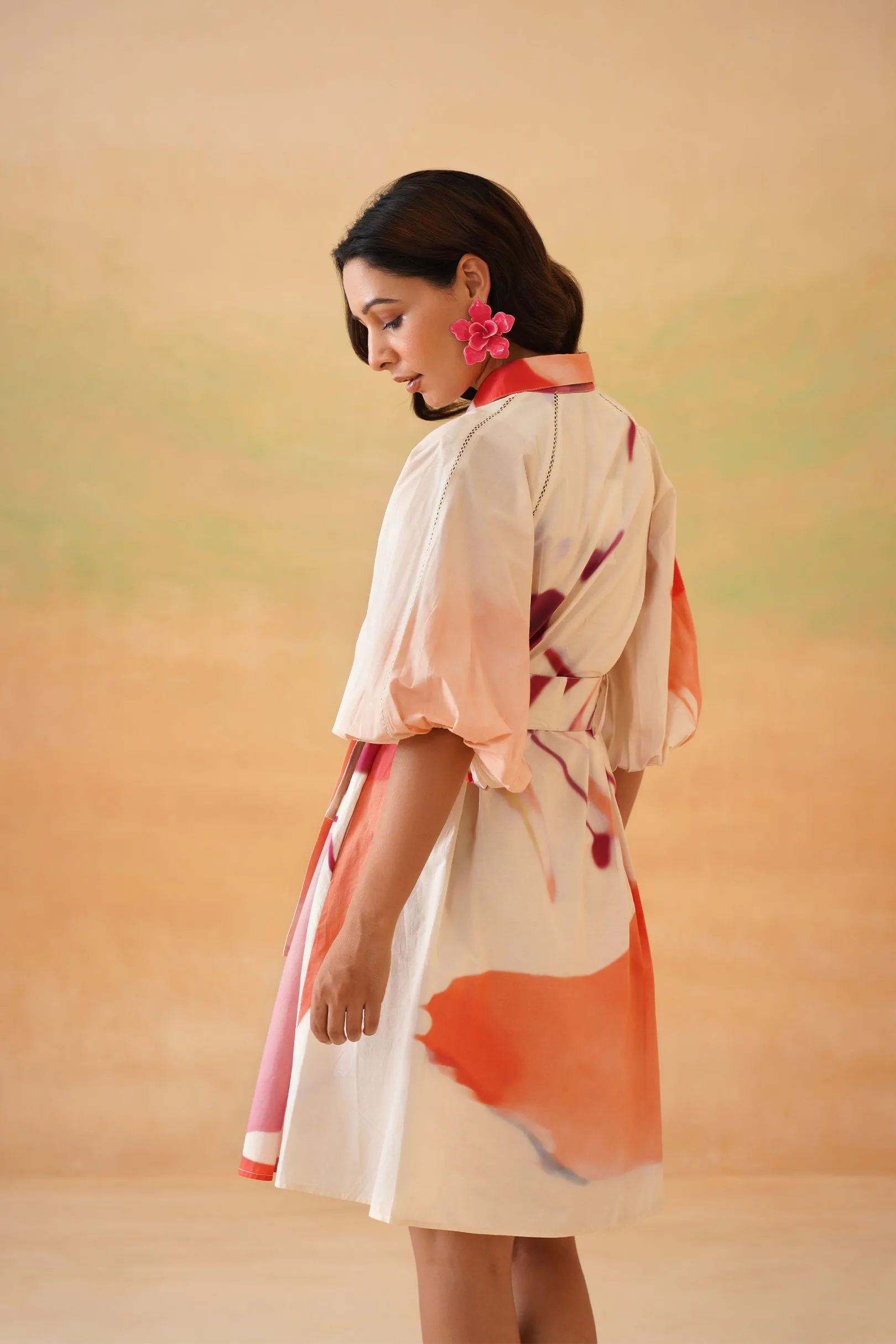 Petaluma Mini Shirt Dress