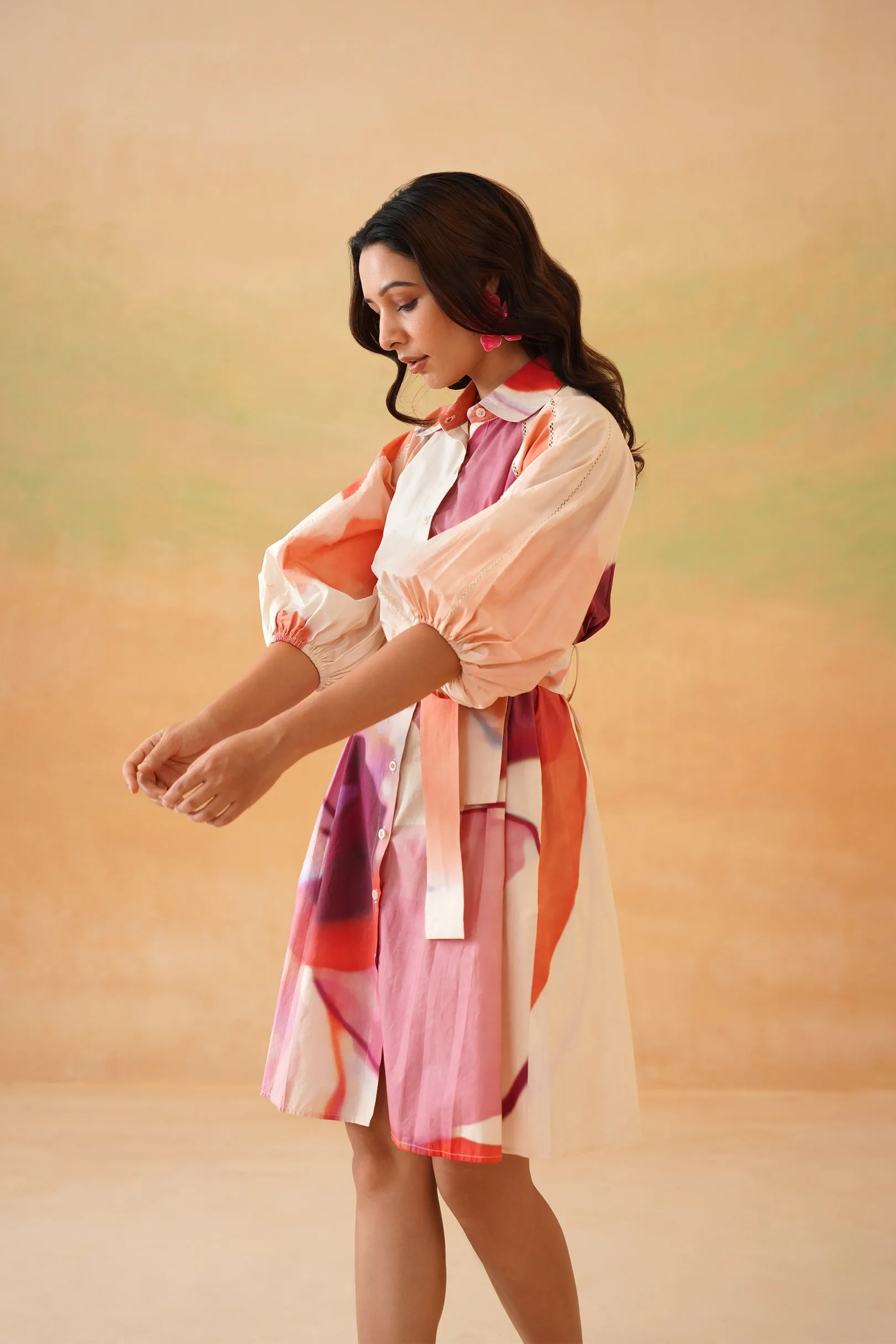 Petaluma Mini Shirt Dress