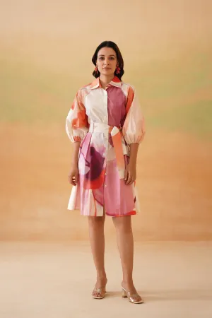Petaluma Mini Shirt Dress