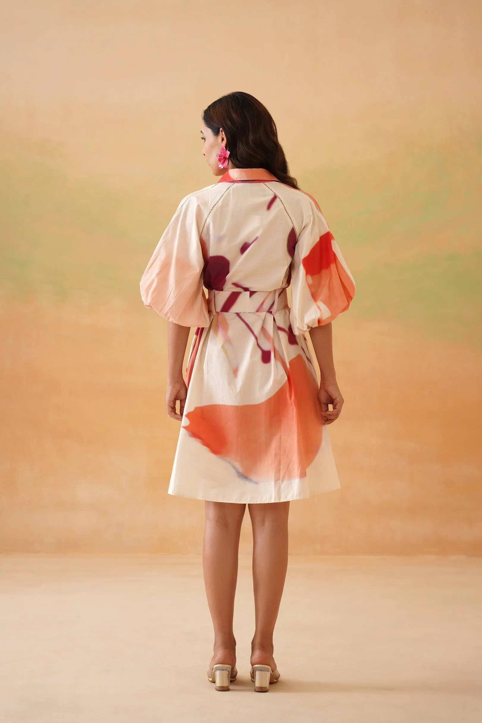 Petaluma Mini Shirt Dress