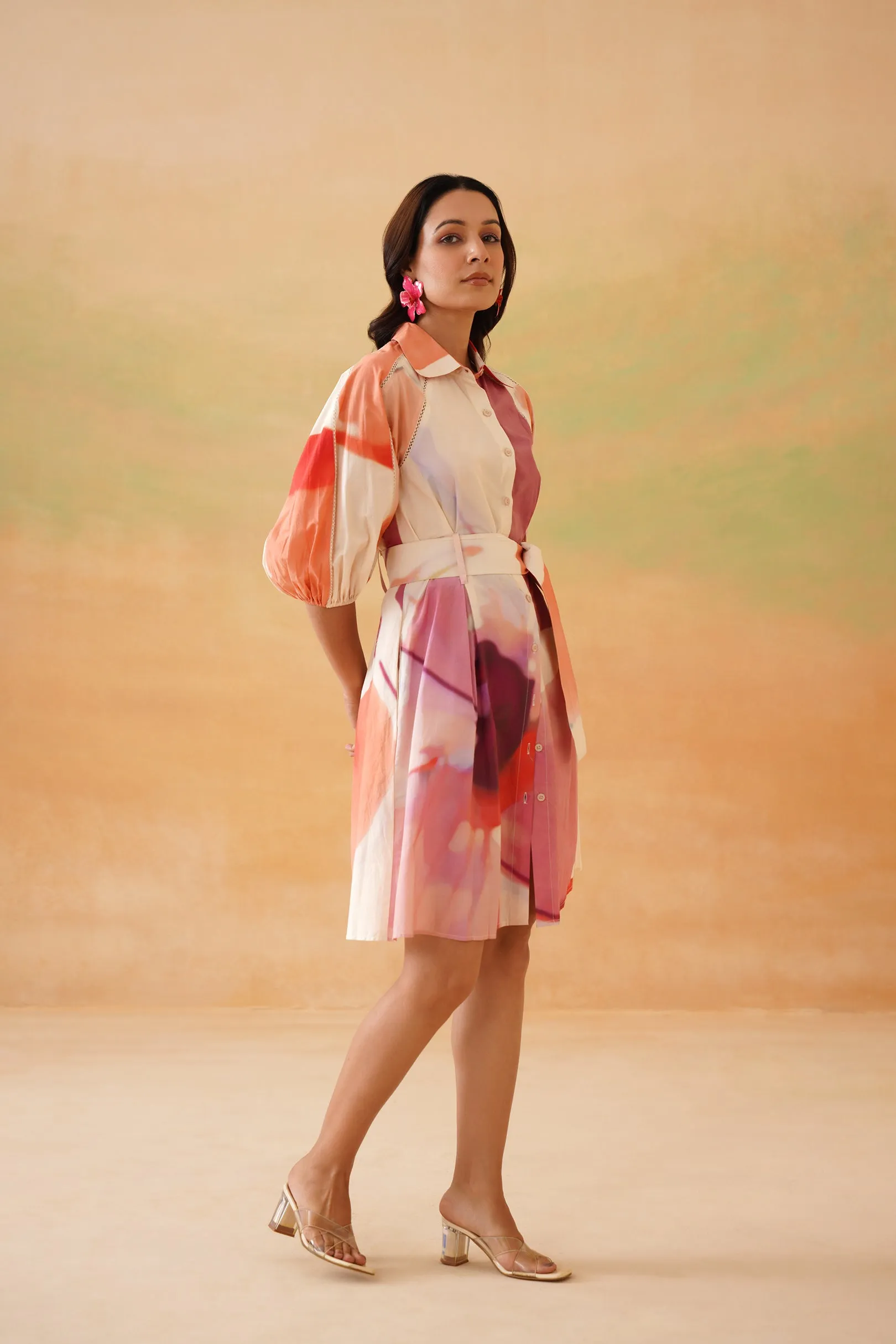 Petaluma Mini Shirt Dress