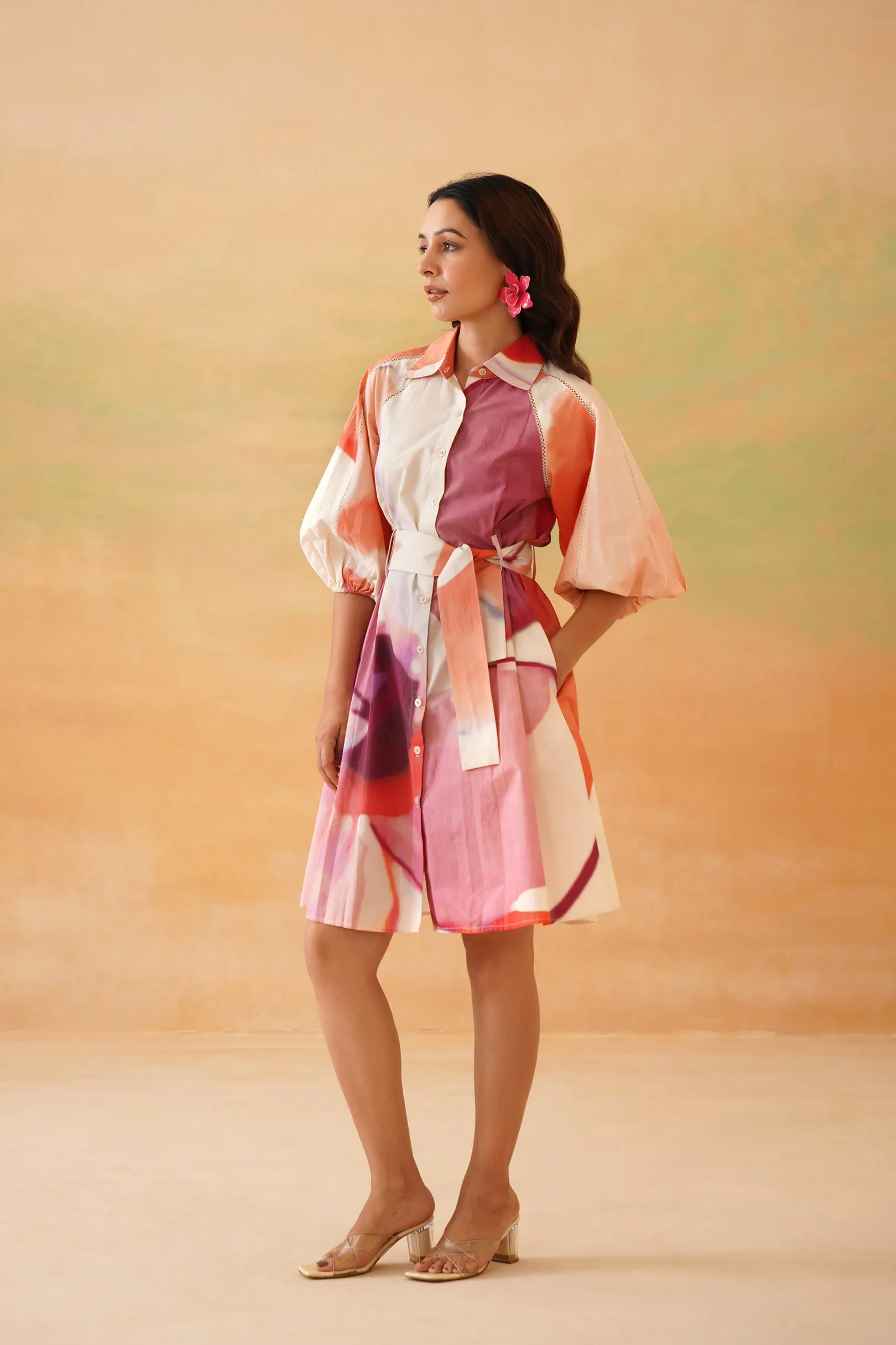 Petaluma Mini Shirt Dress