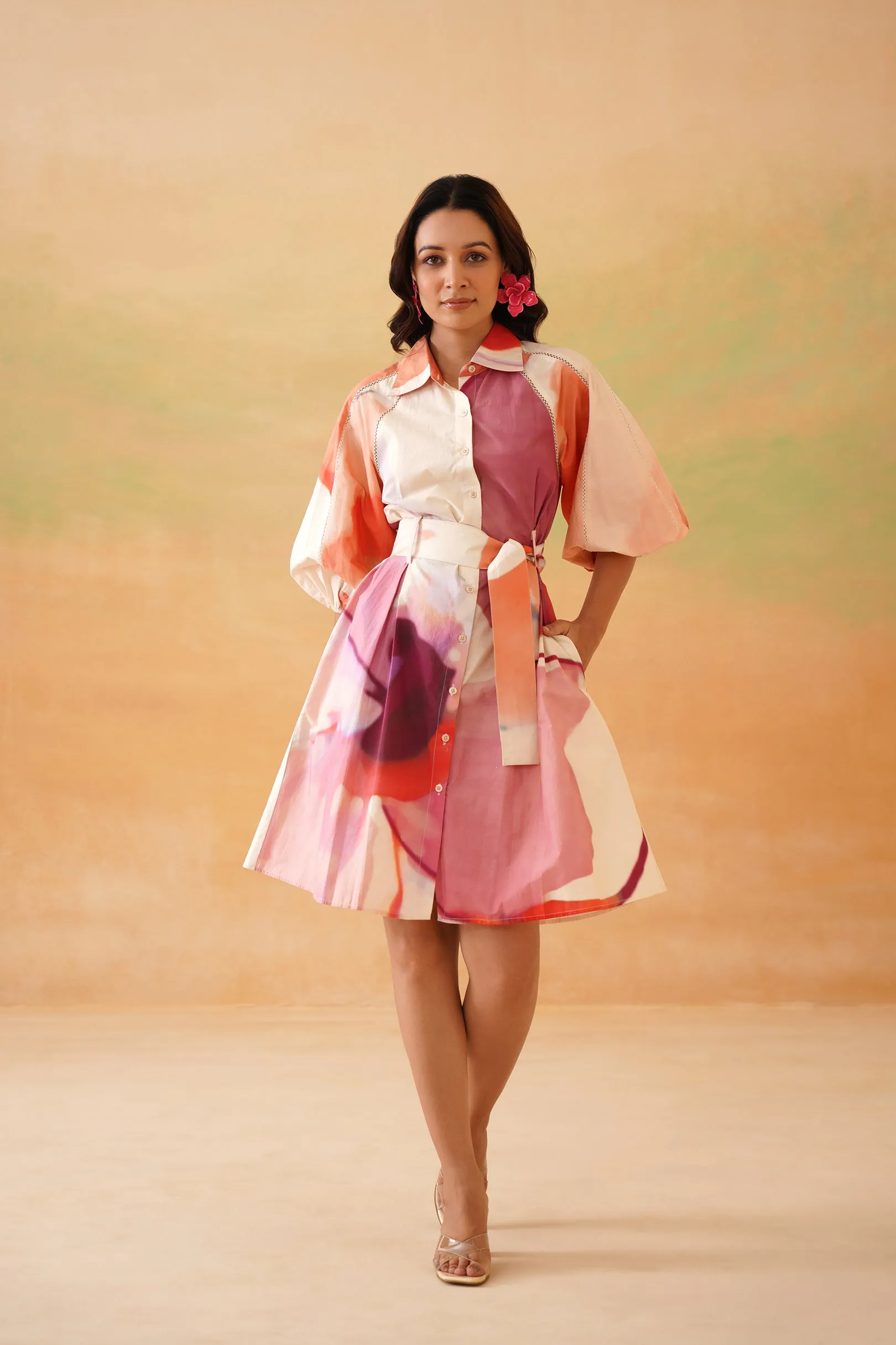 Petaluma Mini Shirt Dress