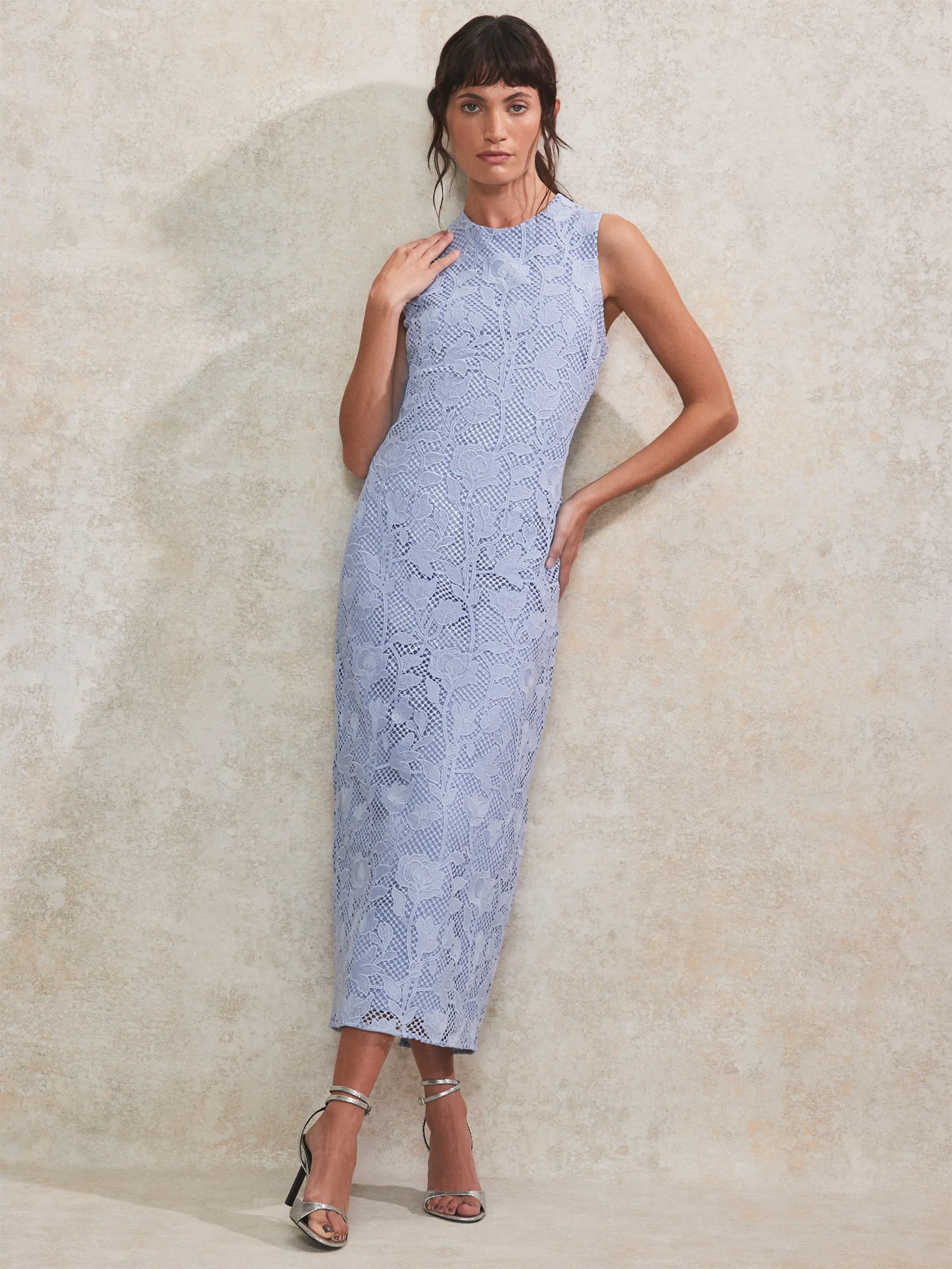 Petite Blue Lace Column Dress
