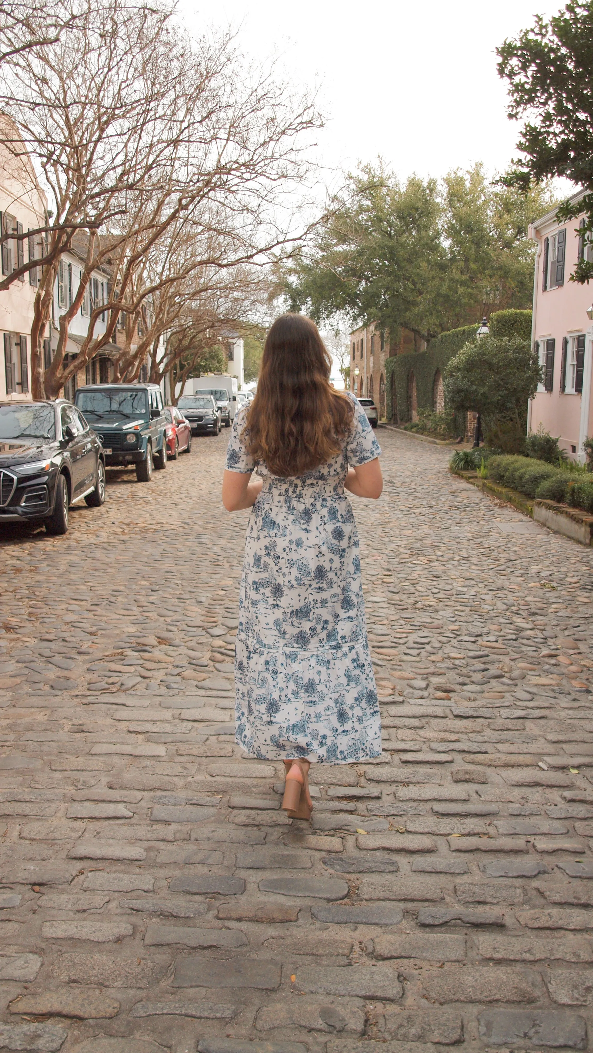 Renzo Toile Dress