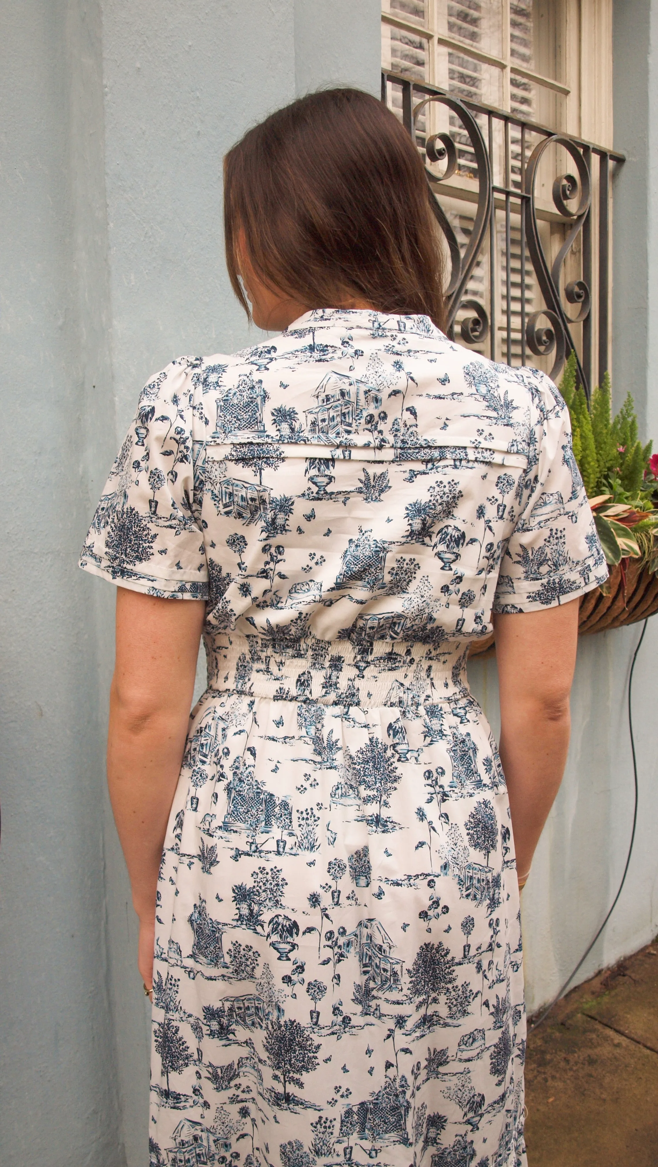 Renzo Toile Dress