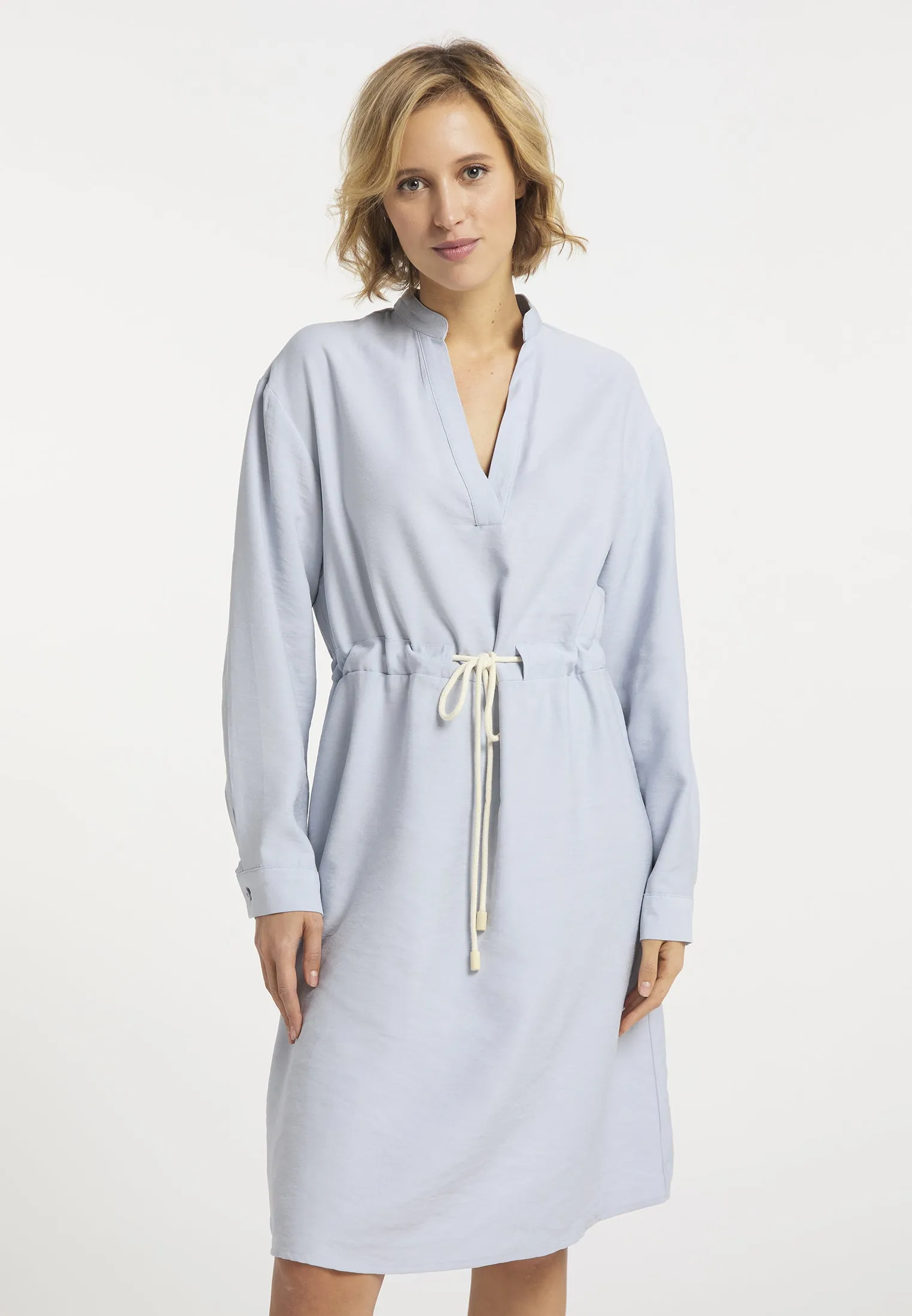 usha BLUE LABEL Women's Dress